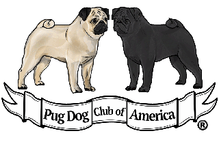 Pug Dog Club of America